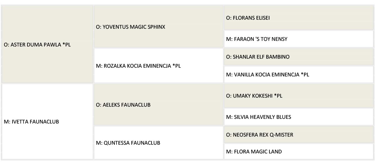 Anuszka rodowod www