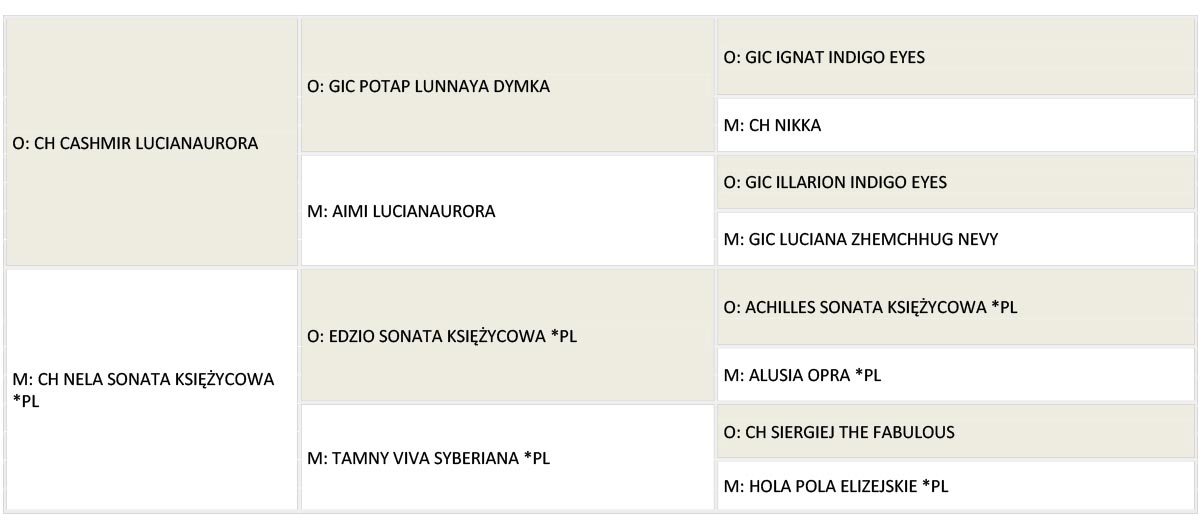 Boska rodowod www